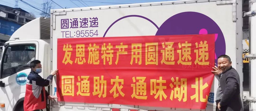 圆通4.jpg
