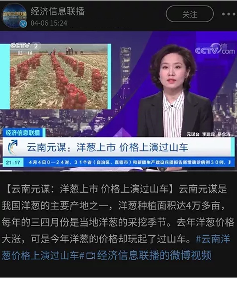 苏宁3.jpg
