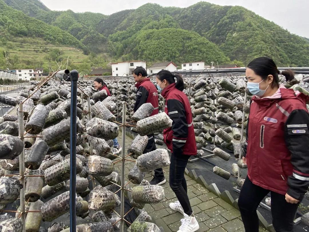 圆通寄递1.jpg