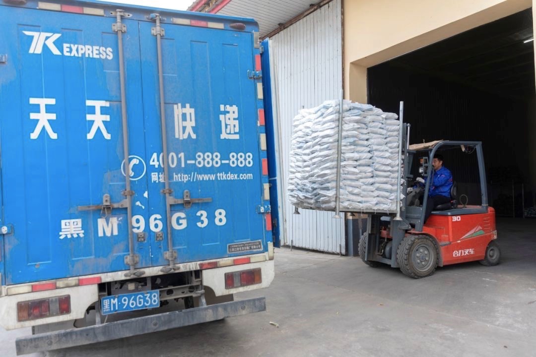 苏宁1.jpg