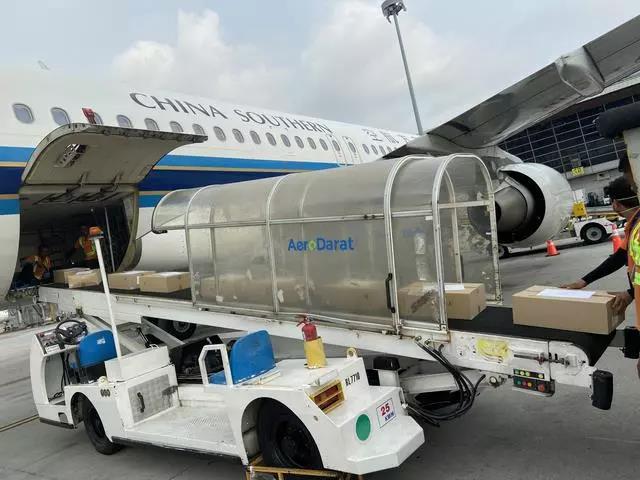 20200428/ec89cb168b082af31cc4b4e9f9fbaf5b.jpg 7.jpg