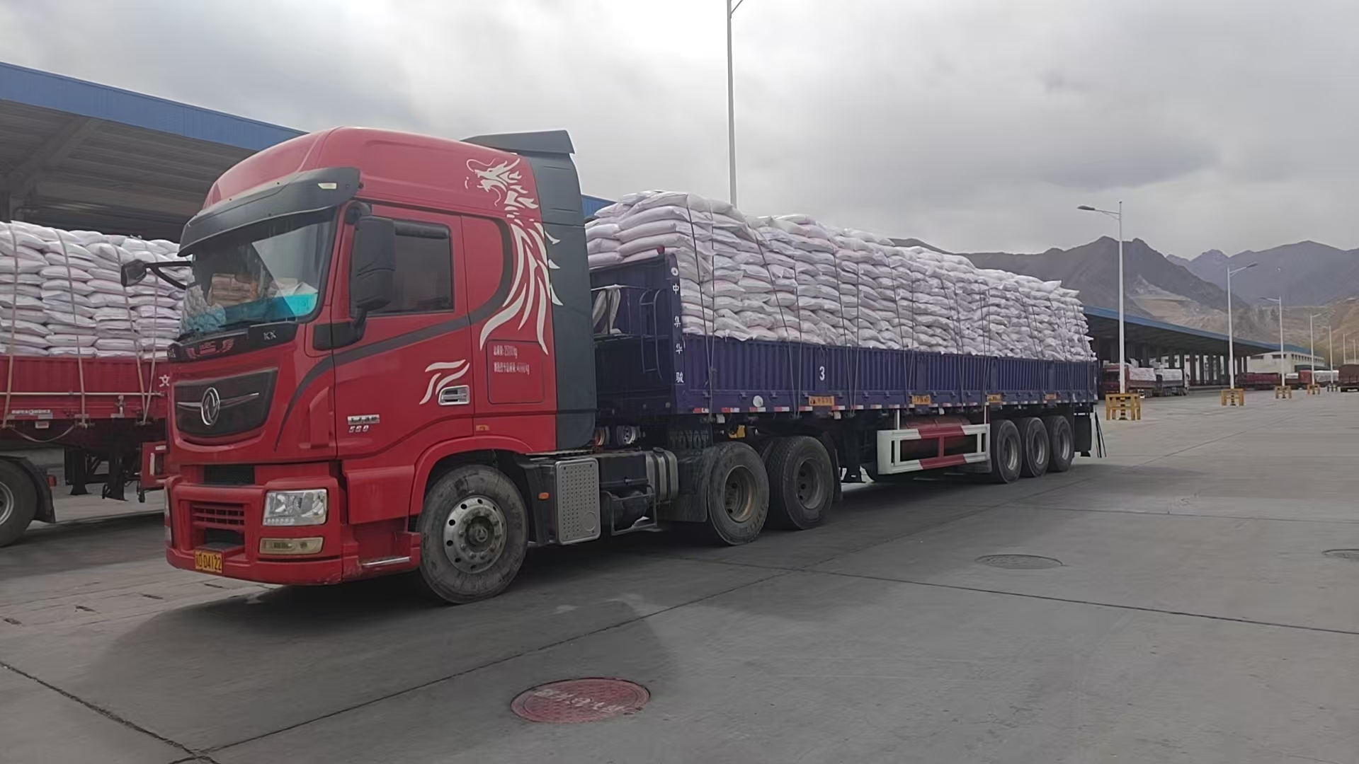 六载护农行，为藏区春耕“施点肥” (2).jpg